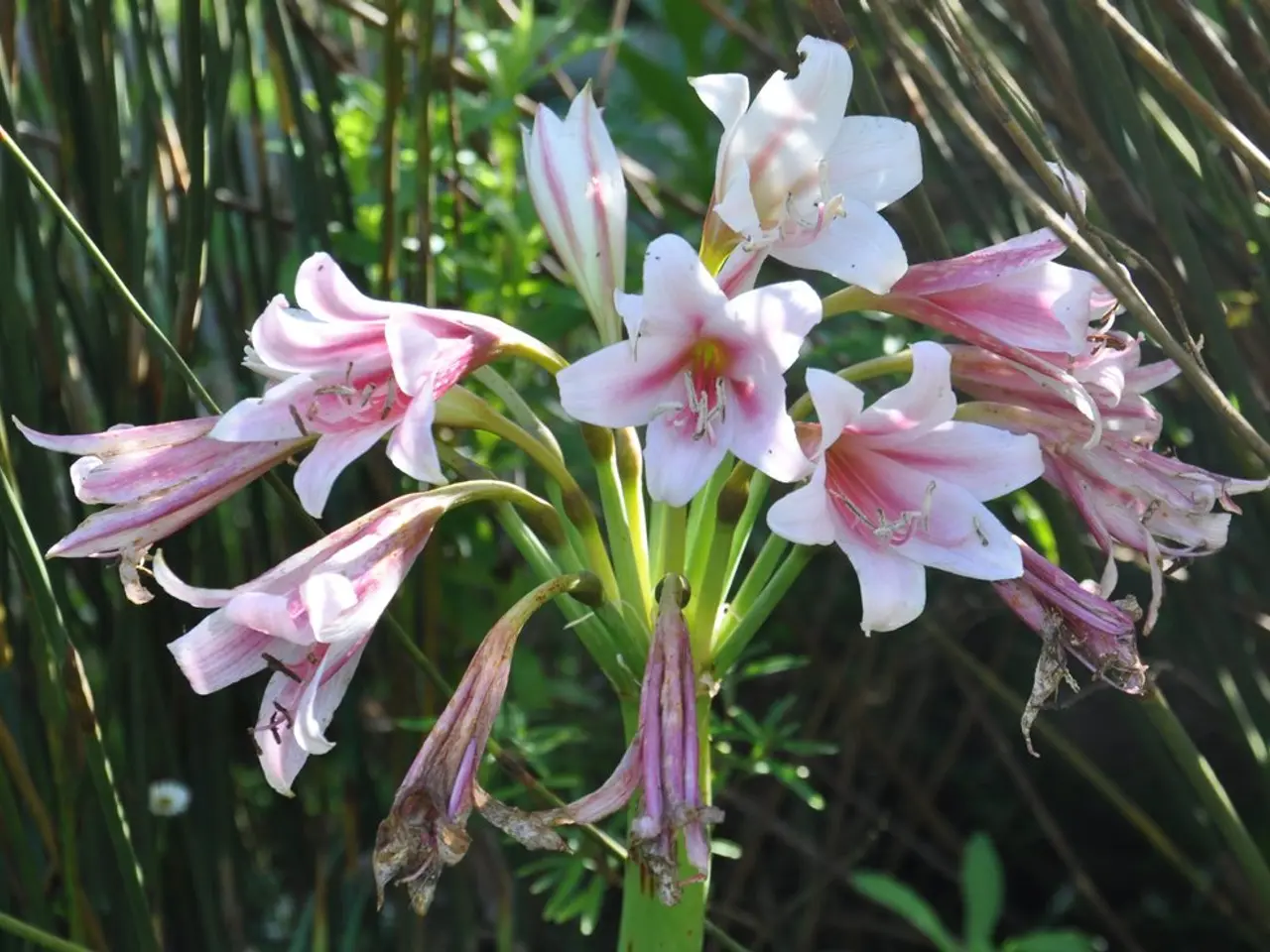 Invigorate Your Living Space with Spring Decor Touches