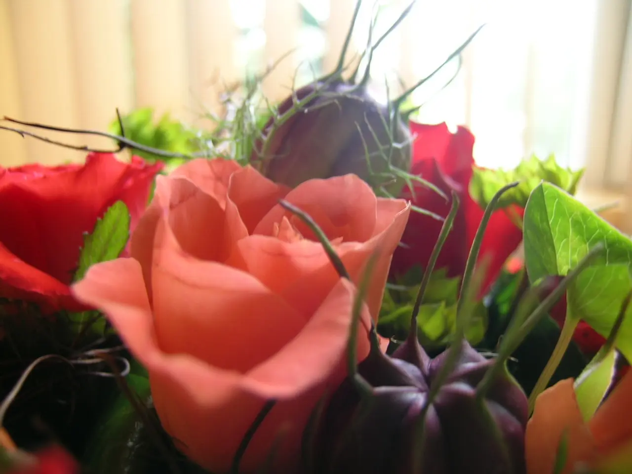 Adjusting Irrigation Timetables for Peach Trees During a Drought