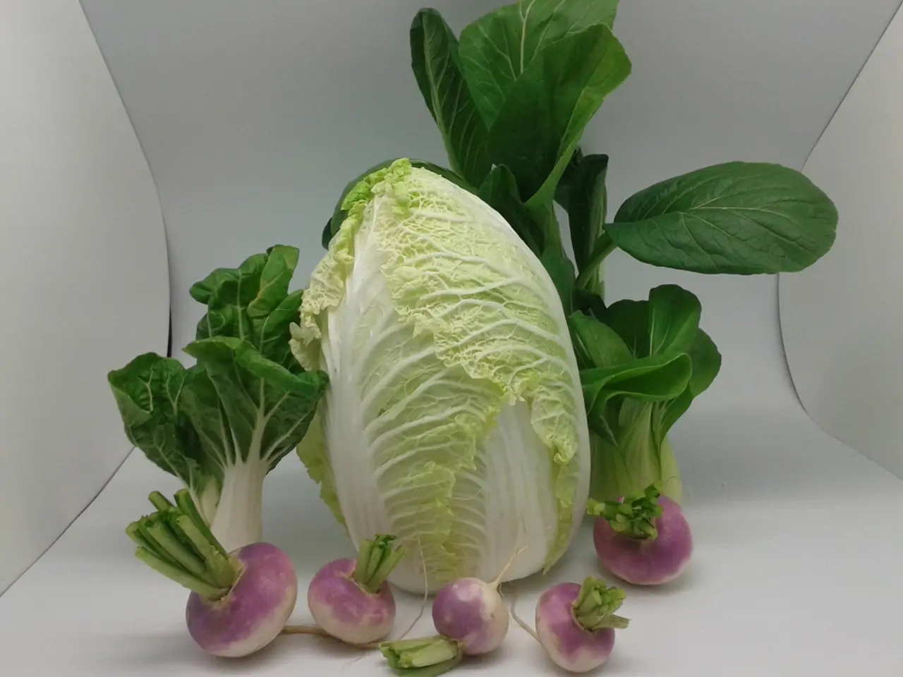 Disruptions in Cabbage Cultivation - Strategies for Managing Cabbage Maggots