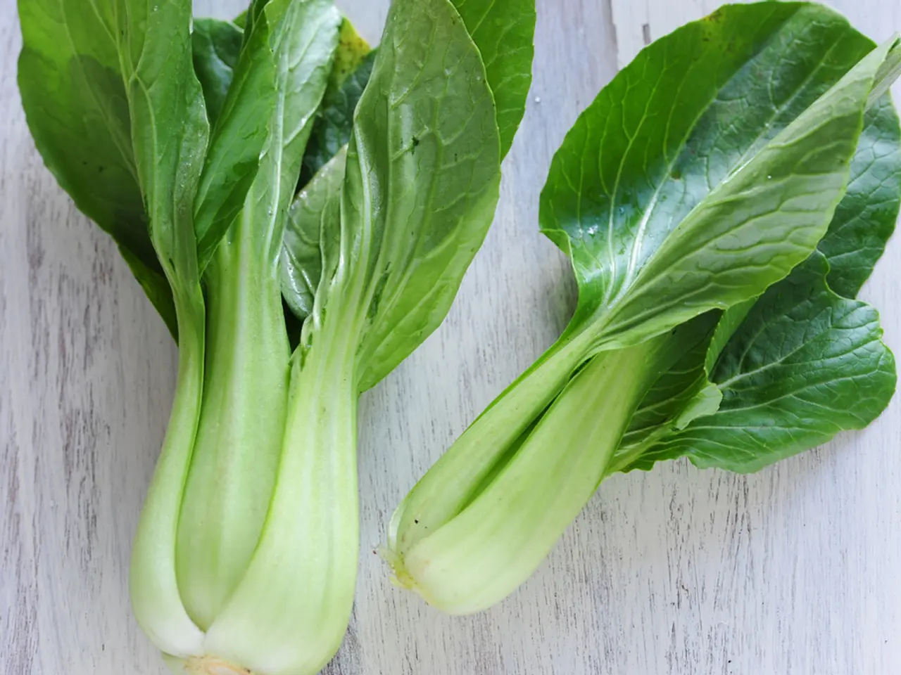 August-bound vegetable planting: 7 options for a rich autumn harvest