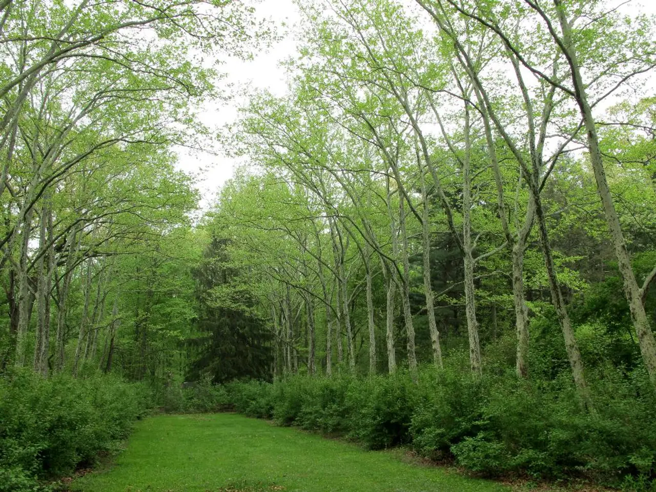 Devon's trailblazing agricultural farm embraces an assortment of flora and fauna, including...