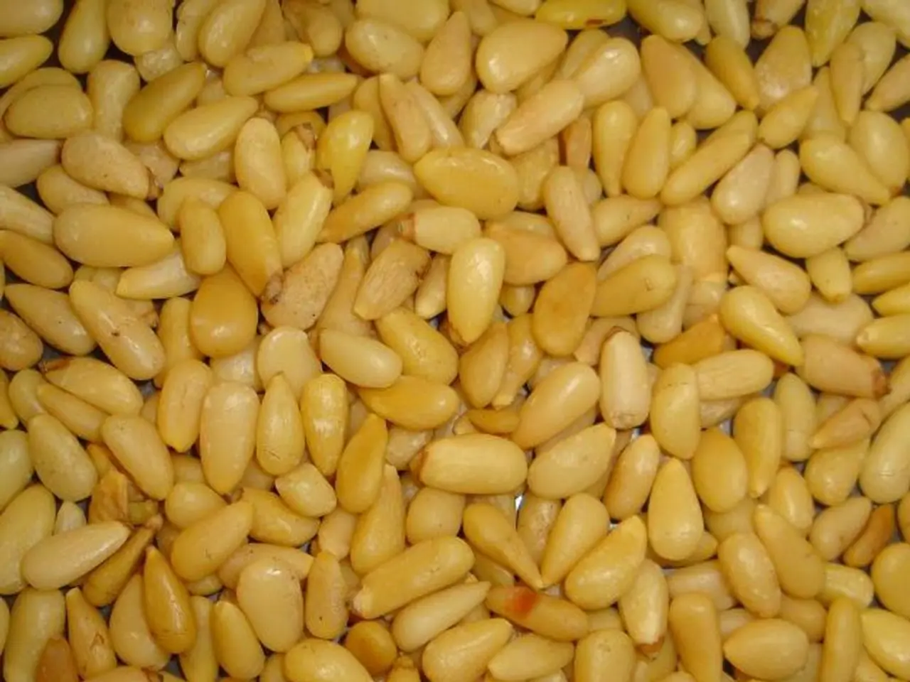 For optimal corn planting results, consider the appropriate depth in sandy soil.