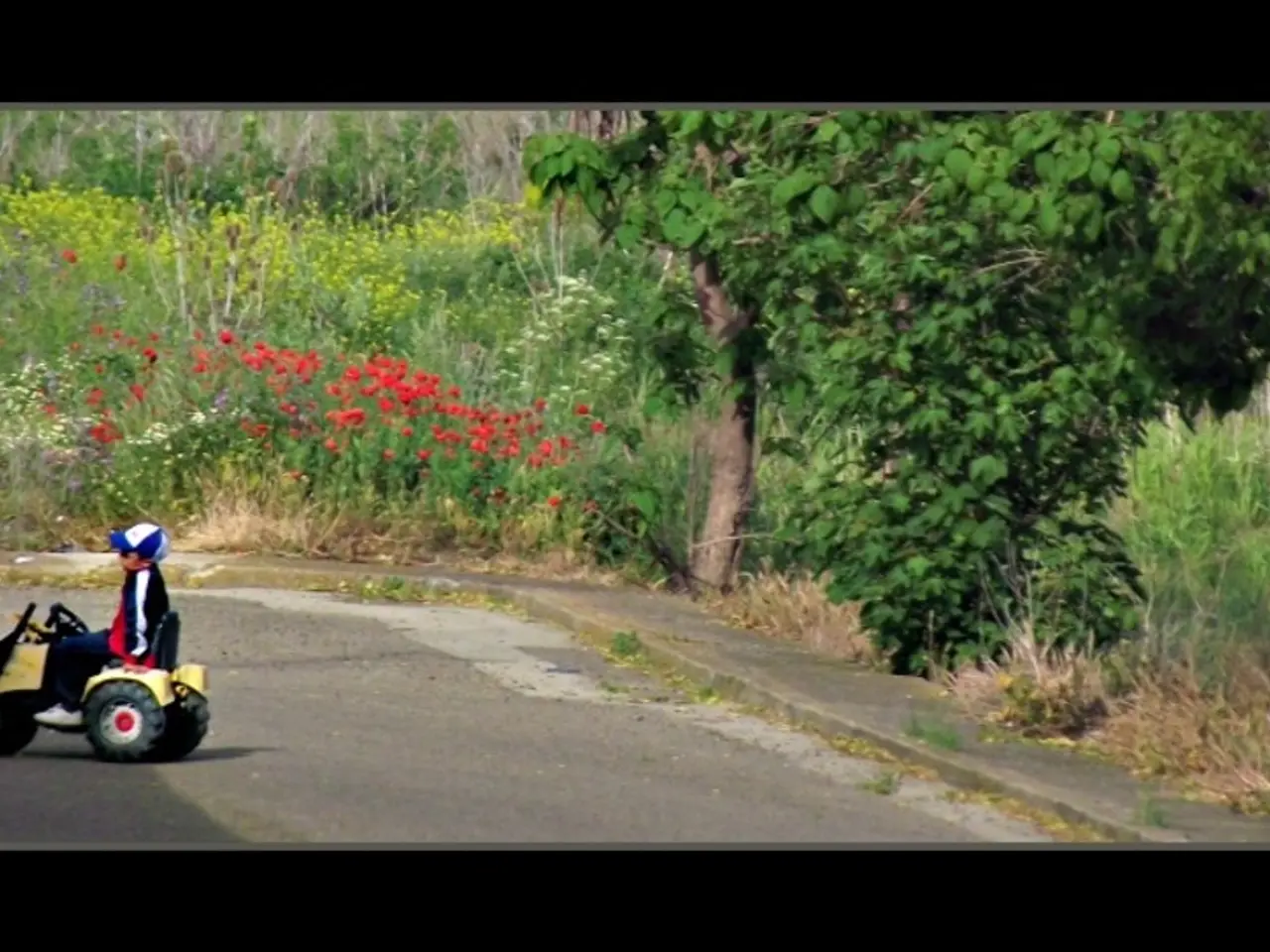 Discover the underappreciated coming-of-age film now streaming on Netflix before it's gone