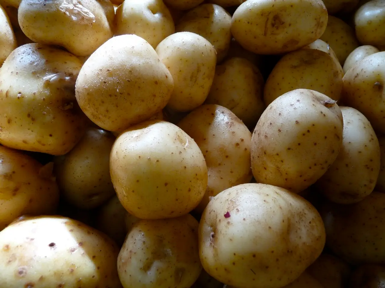 In the image there are many potatoes in the front.