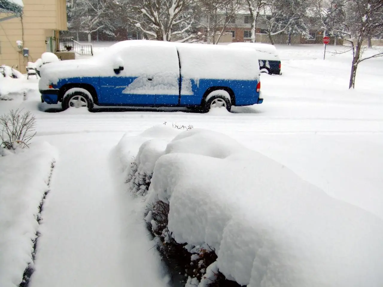 in this picture there is snow everywhere. In the foreground of the picture there are plants. In the...