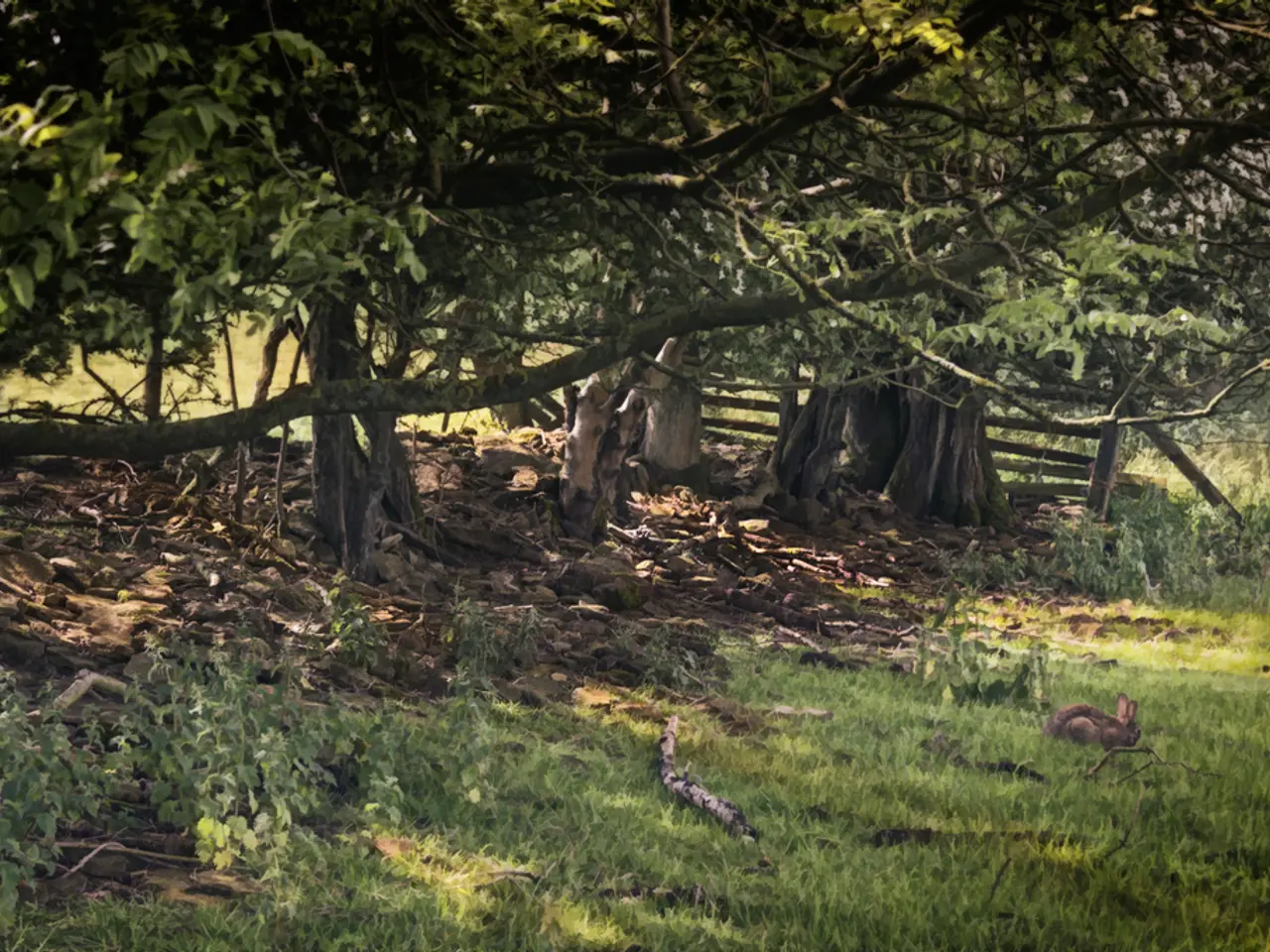 Here In this picture the whole place is covered with grass, plants and trees.
