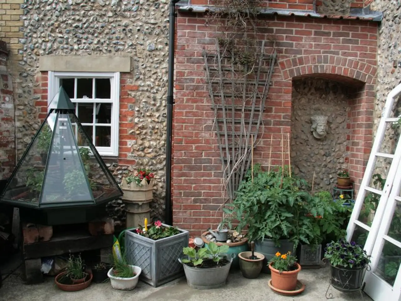 There are different types of plants cultivated in in different pots and behind all the plants there...