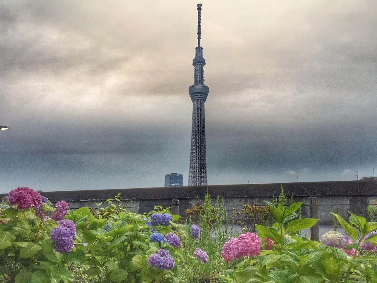 In this image we can see there are plants with flowers and at the side there is a wall, street...
