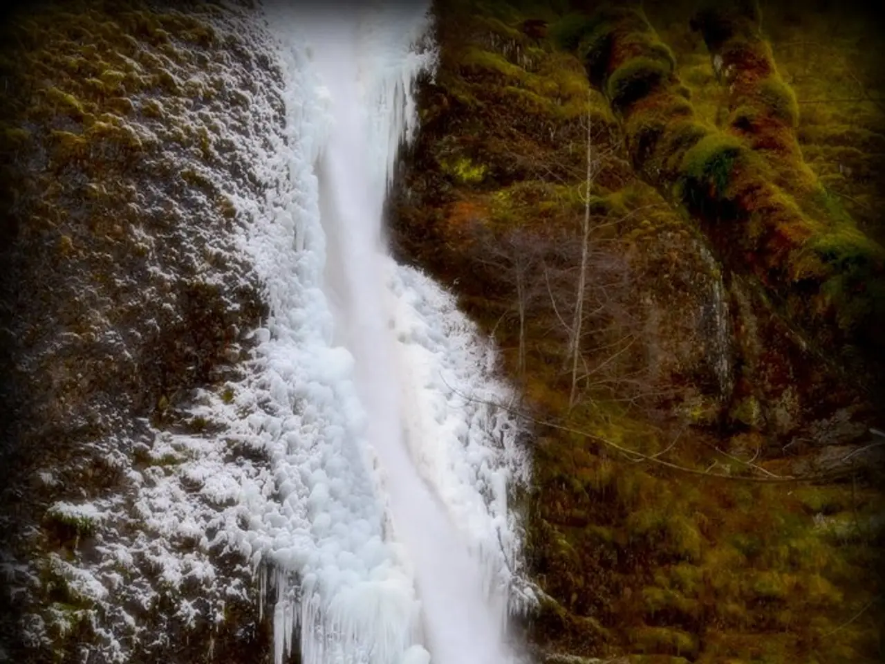 There is snow and there is greenery in the right corner.