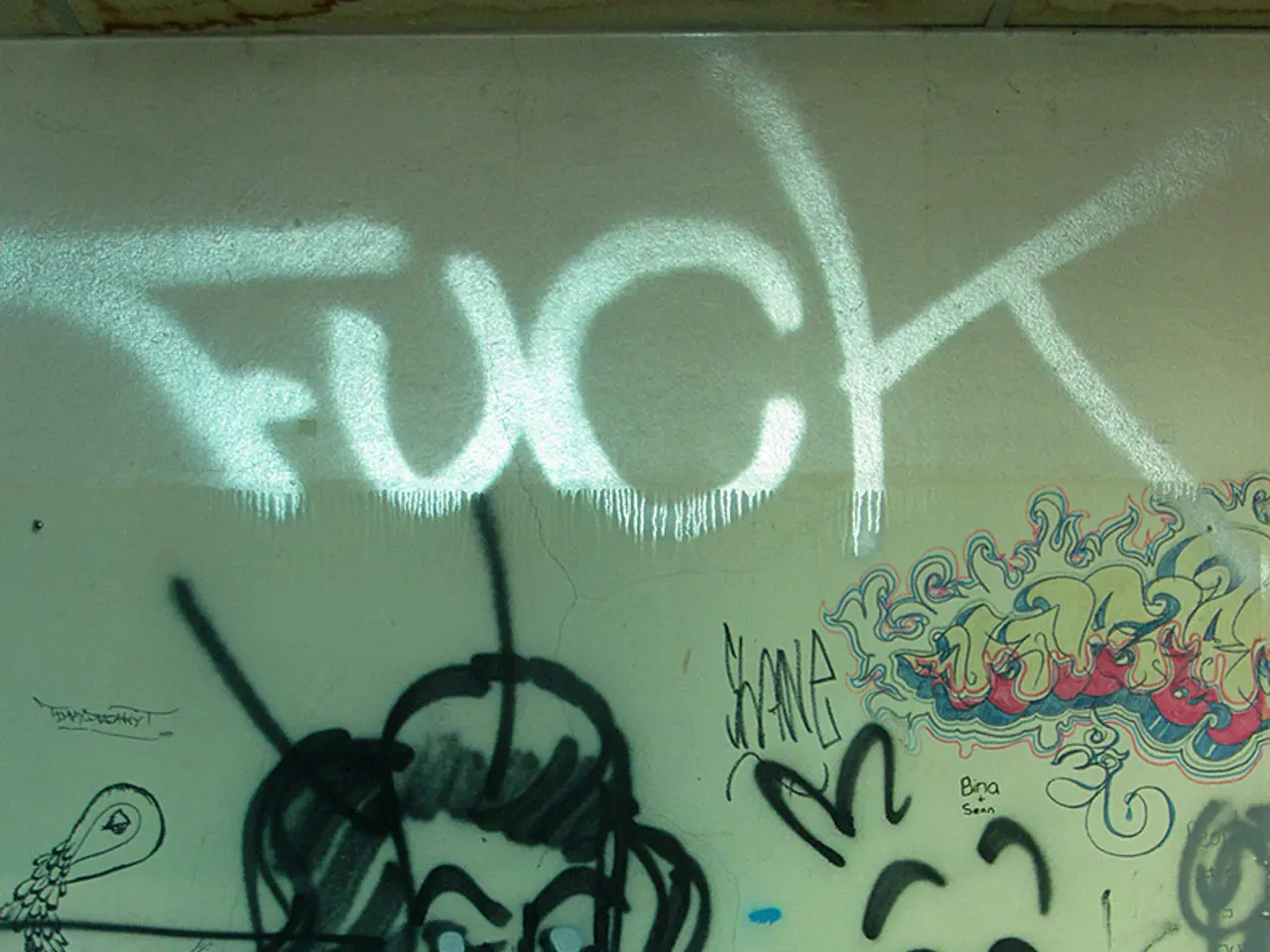 This picture consists of a painting on a wall in the image.