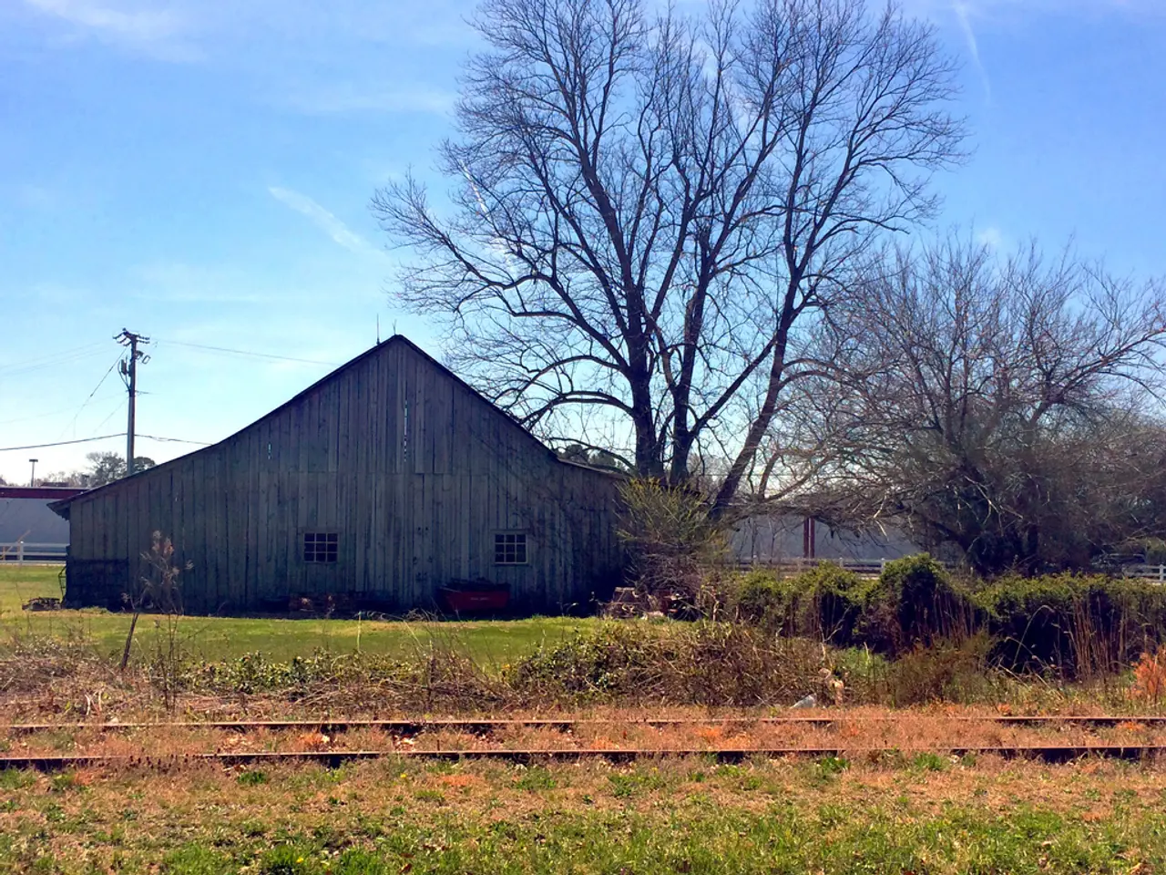 In this image there is a grassland on that land there is a track, in the background there are...