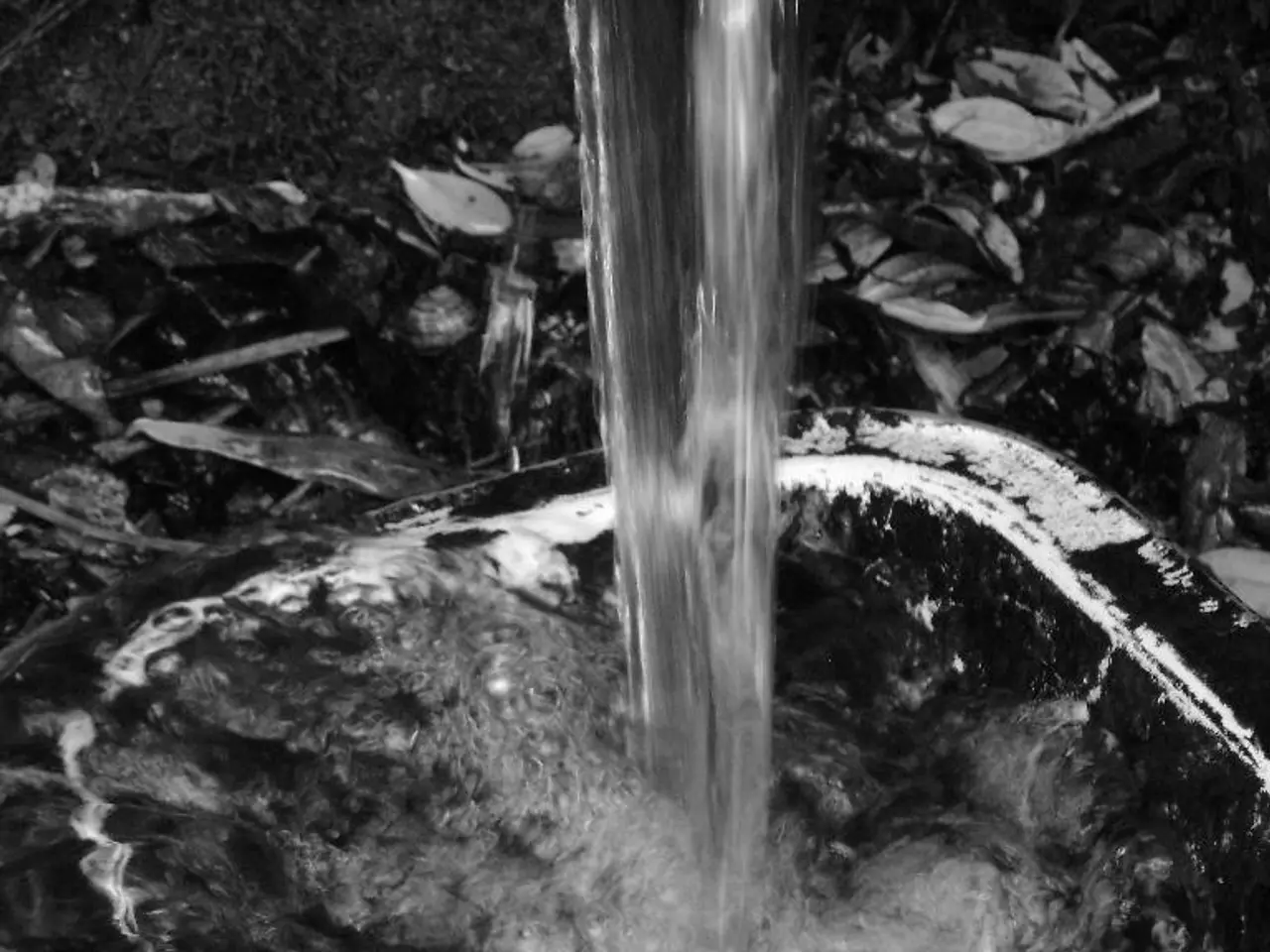 In this image there is water flowing into the pot. Around the pot there are dried leaves and...