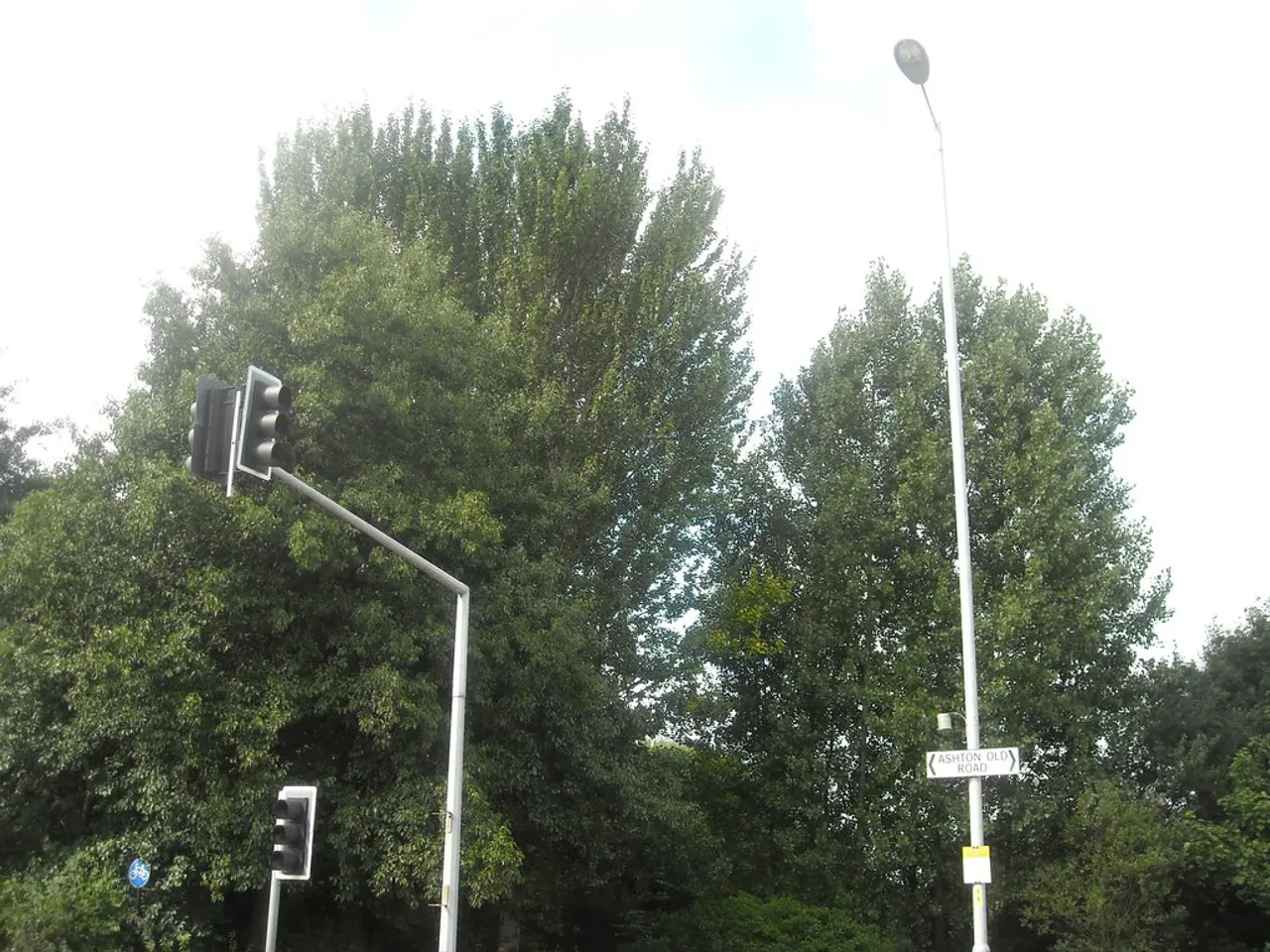 In this picture we can see two poles with traffic signals and there is another pole with a board...