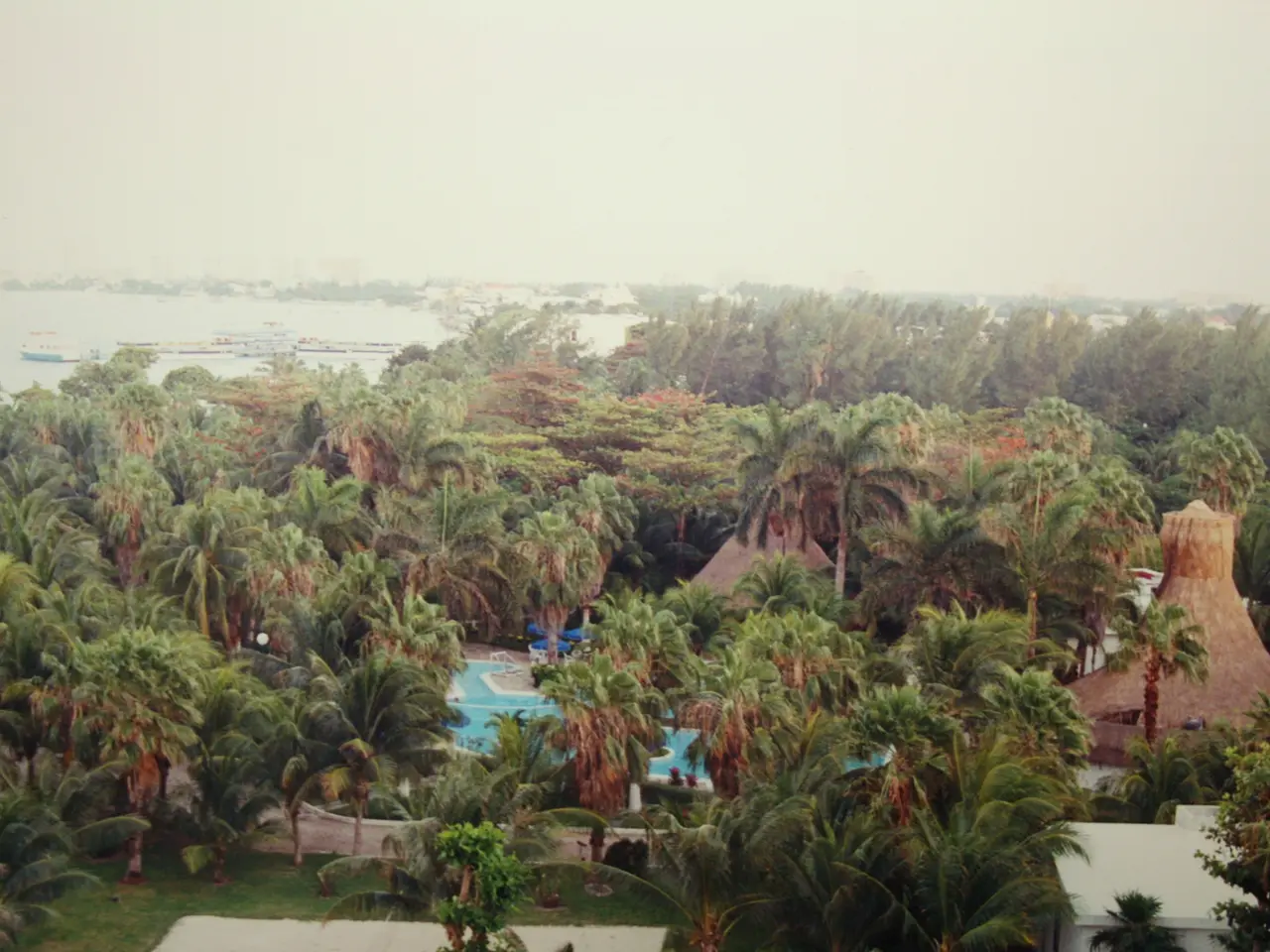 The image shows a view of a resort from the top of a hill, with a number of palm trees in the...