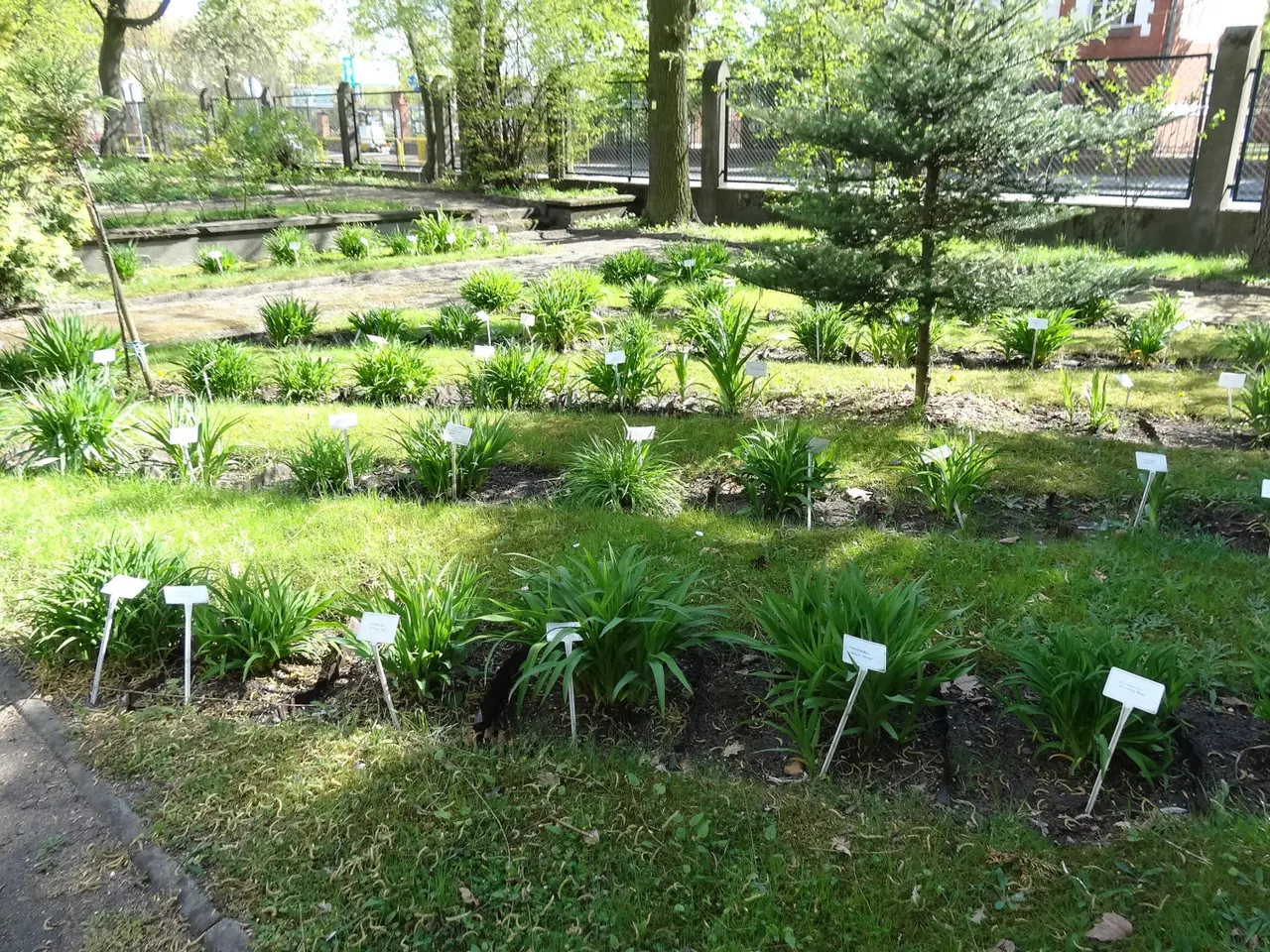The image shows a garden filled with lots of plants and trees in the middle of it, surrounded by...