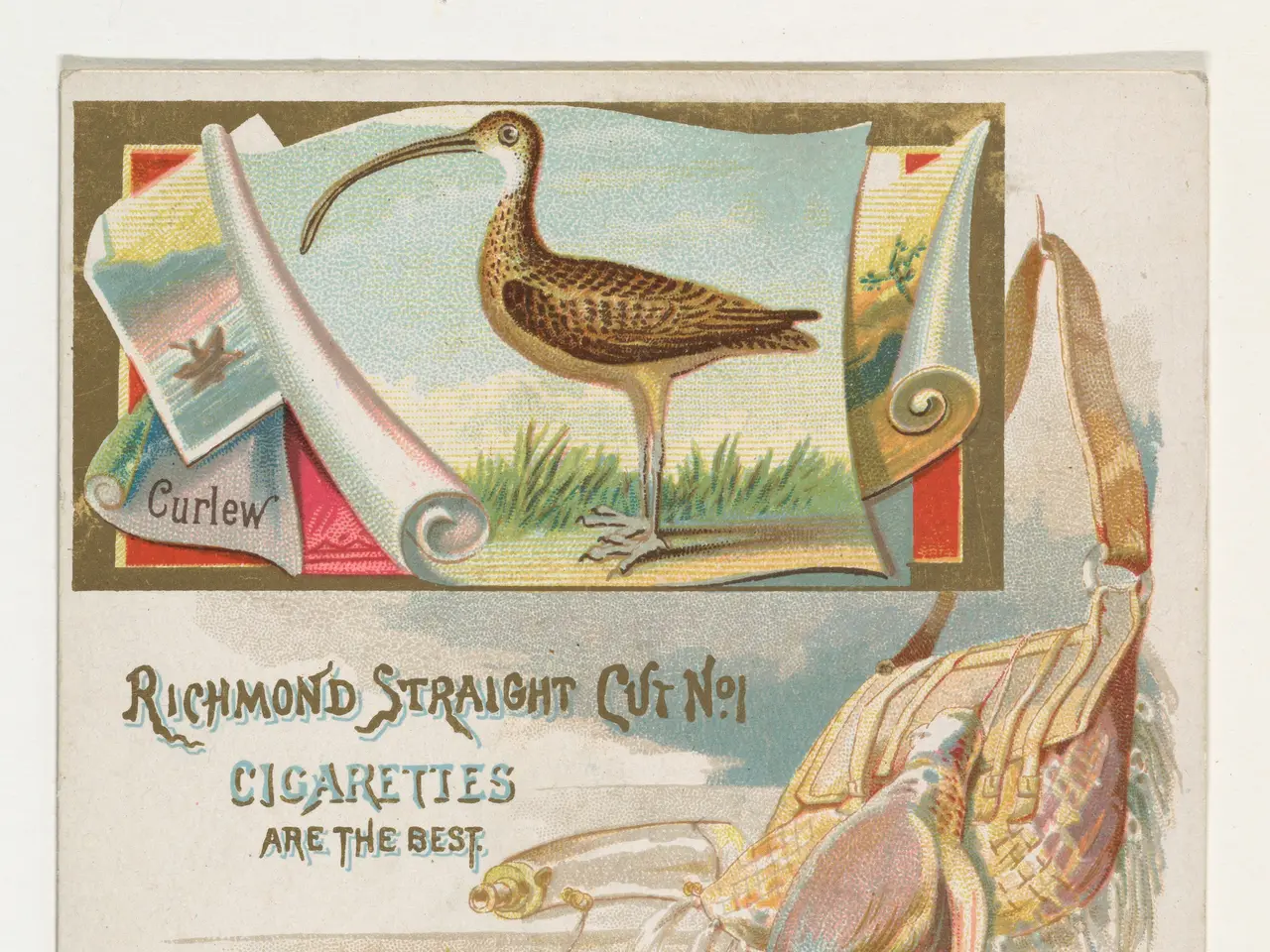 The image shows an old cigarette card with a bird on it, surrounded by grass and other objects. The...