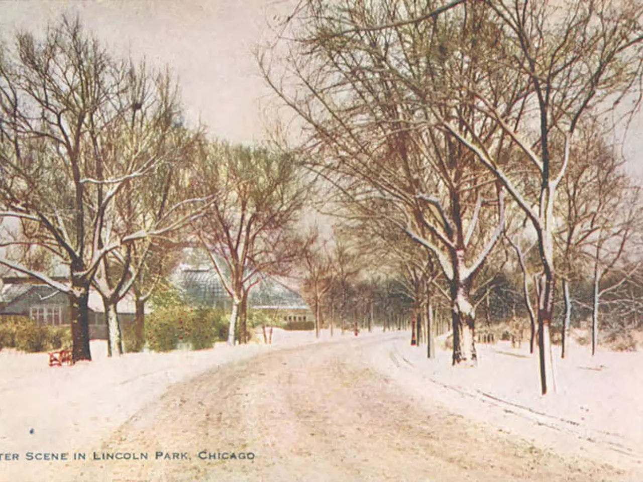 The image shows a winter scene in Lincoln Park, Chicago, with snow on the ground, trees, plants,...