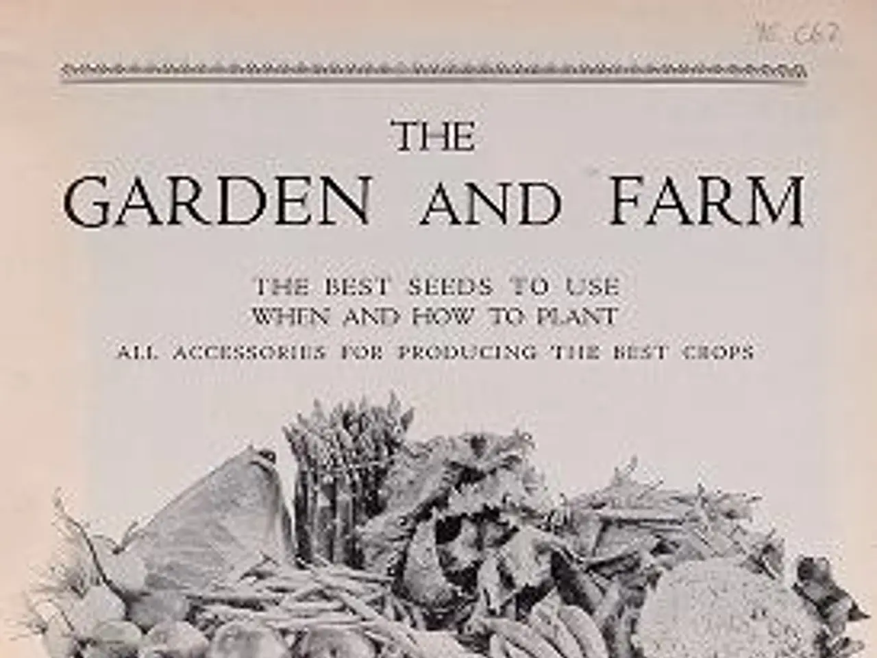 The image shows a paper with a picture of a basket filled with various vegetables and text that...