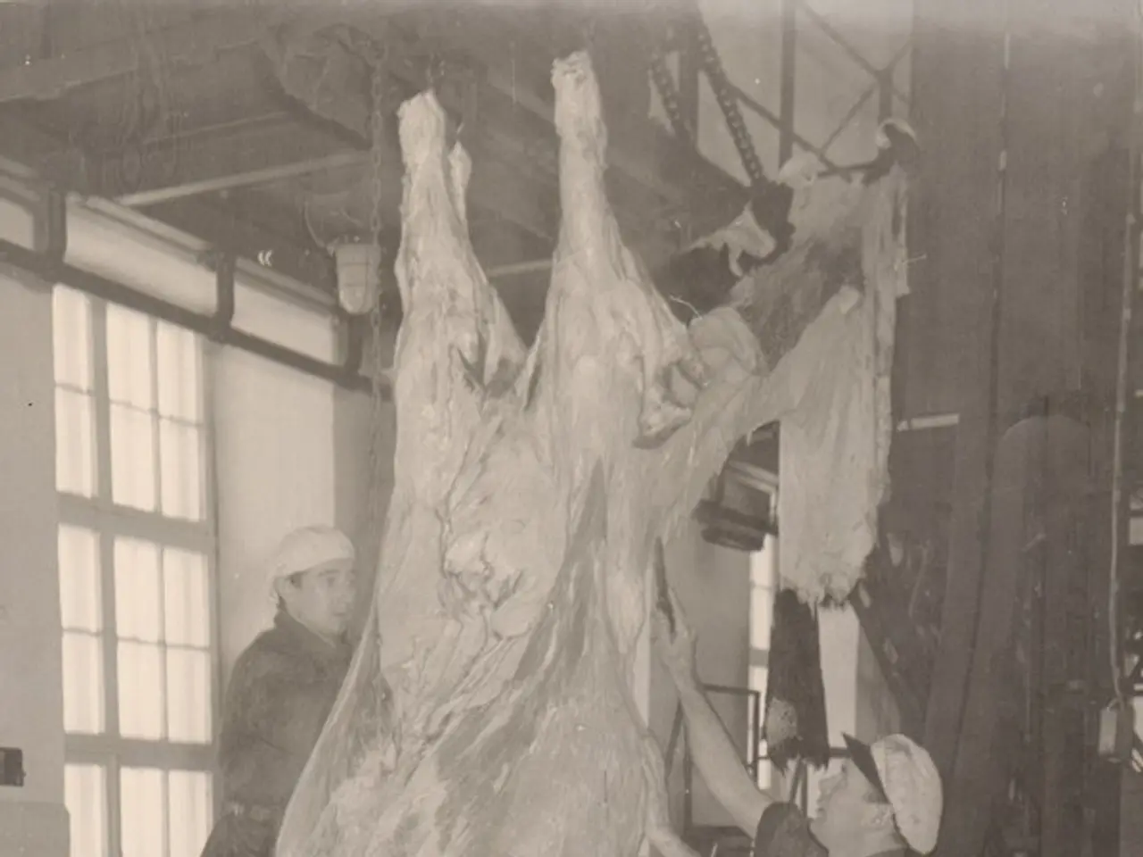 The image shows two men working on a large piece of meat in a factory. The image is in black and...