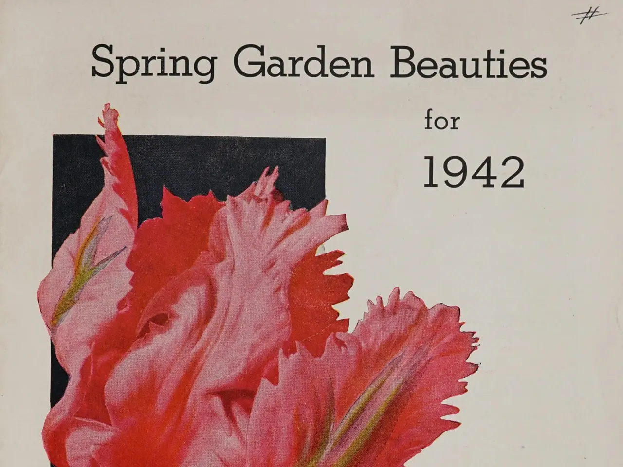 The image shows a book with a picture of a flower on the cover page and text that reads "Spring...