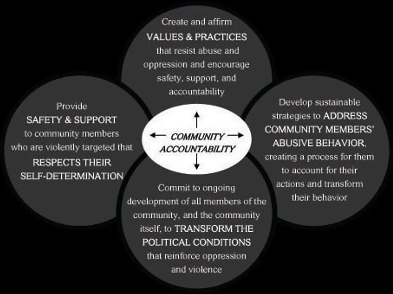 The image shows a circle with the words "community accountability" written in the center,...