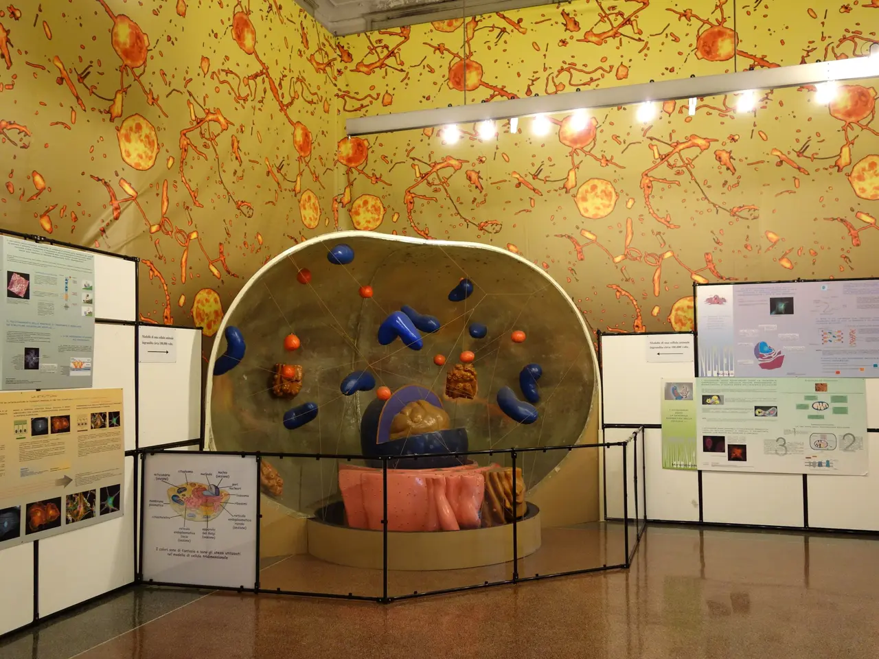 The image shows a room filled with lots of different types of exhibits, including boards with text...