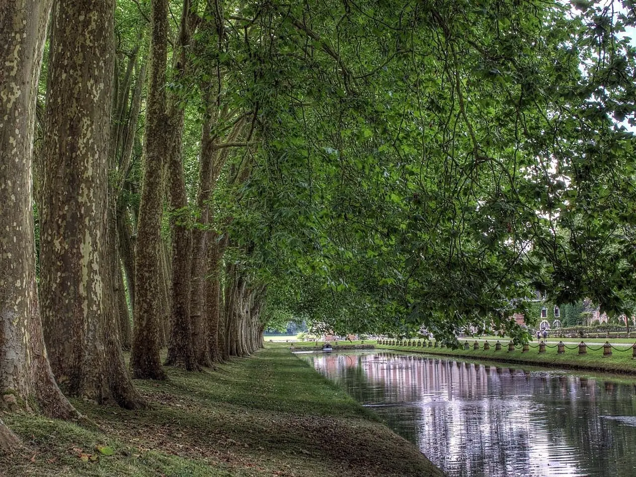 The image shows a river running through a lush green park, with trees lining the banks. The ground...