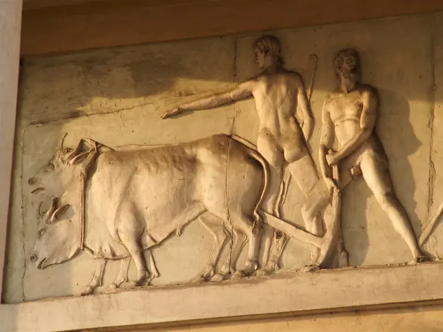 Techniques for Cultivating Swiss Chard Successfully