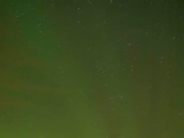 Ninebark Pruning Guidelines: Expert Gardeners Reveal Best Times and Methods for Attractive Shrubs...