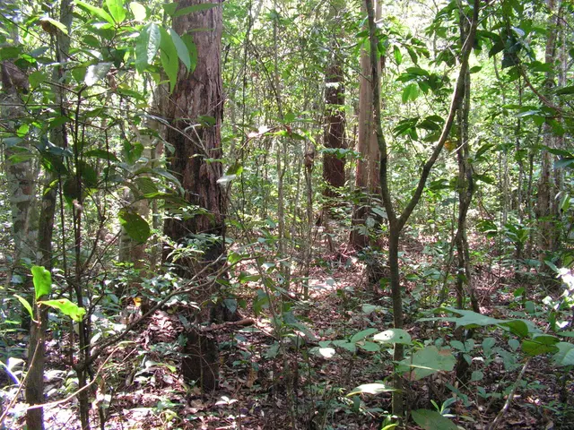 The Impact of Your Garden on the Earth: Trees, Flora, and Landscaping Strategies