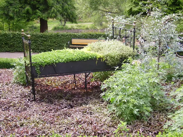 Top 10 Trellis-Friendly Plants to Elevate Your Garden's Appearance