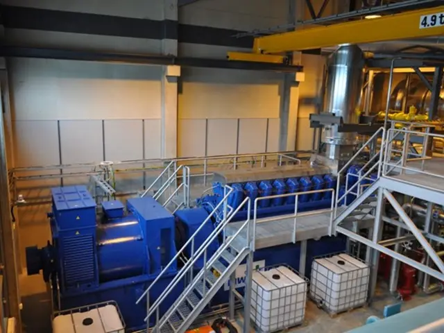 Transferring an Item by Automobile: Rena Monrovia's Undertaking