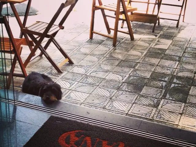 Premium Desk Chair Pad for Comfortable Workspace Setup