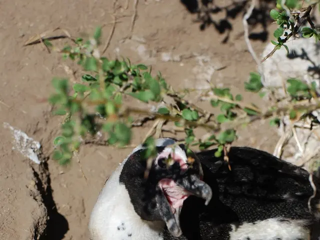 Sowing Seeds Indoors in February: A Pre-Season Advantage for Plant Growth