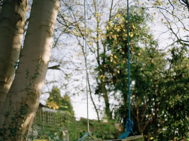 Small-Space Flora: 12 Optimal Plants Suitable for Compact Gardens