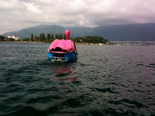 Island disputes erupt over opulent location following allegation of a man clear-cutting neighboring...