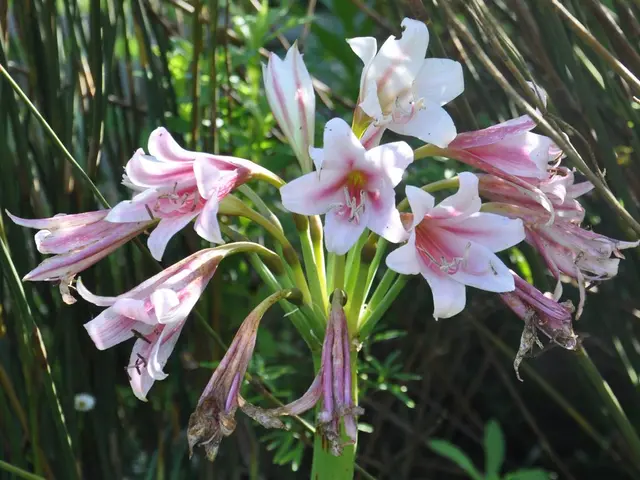 Invigorate Your Living Space with Spring Decor Touches