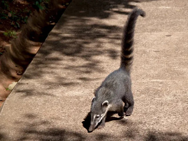 Methods for Managing Poison Ivy Exposure: