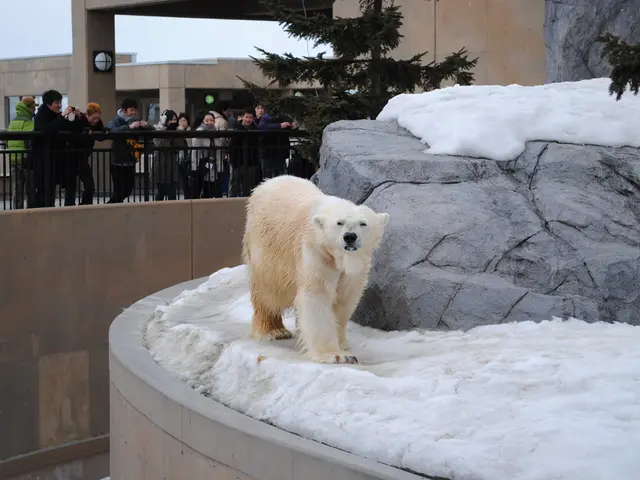The World's Most Remote Abandoned Settlement Lies in the Northernmost Regions