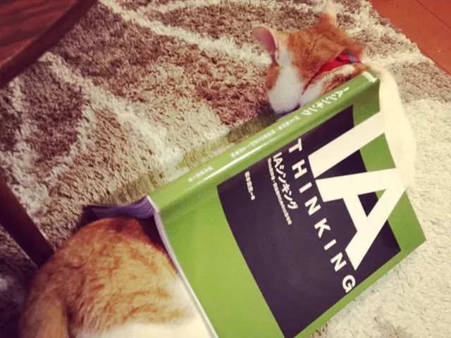 Essential Feline-Themed Bookmarks for Cat Enthusiasts