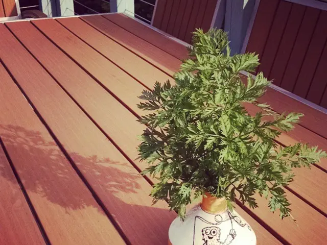 Harmful habits that might be damaging your garden plants