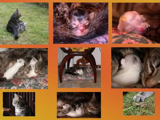 Unveiling Facts on the American Bison: What You Need to Learn