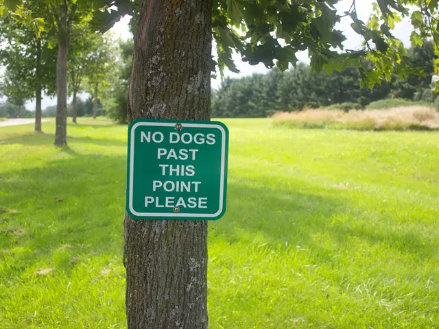 Guidelines for Respectful Rural Behavior