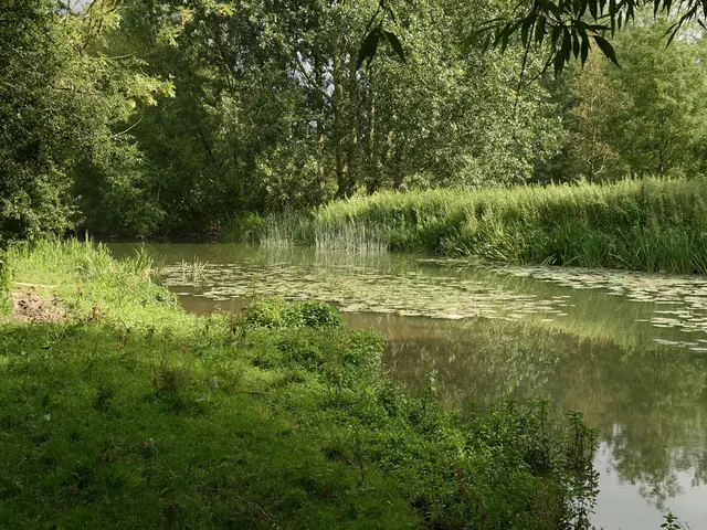 Spring Water Clarification Strategies: