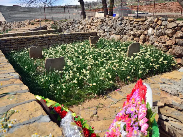 Frost-Resilient Winter Wonderland, Crafted by Arne Maynard, Showcases Timeless Beauty Within Walled...