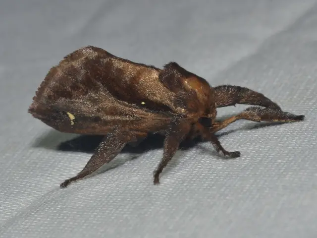 18 Items You'll Adore if You're Fed Up with Those Pesky Mosquitoes