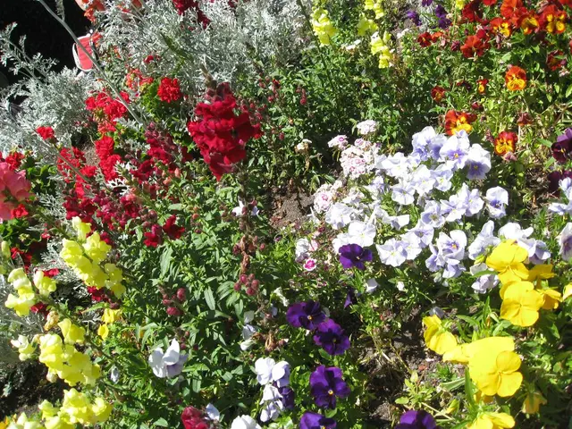 Flowers anticipated to reign supreme in gardens by 2025, according to gardening experts