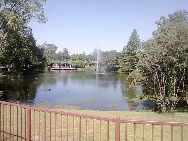 Homeowner showcases transformative flood problem resolution: 'Performs perfectly as intended'