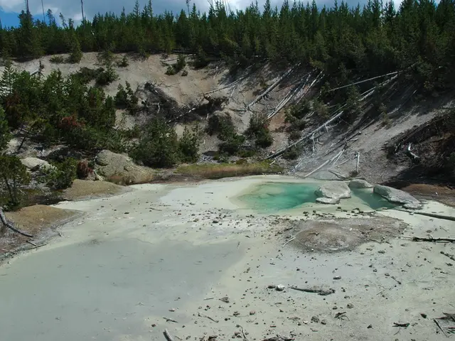 Prominent post-sun lotion, praised by consumers for maintaining their tan for extended duration,...