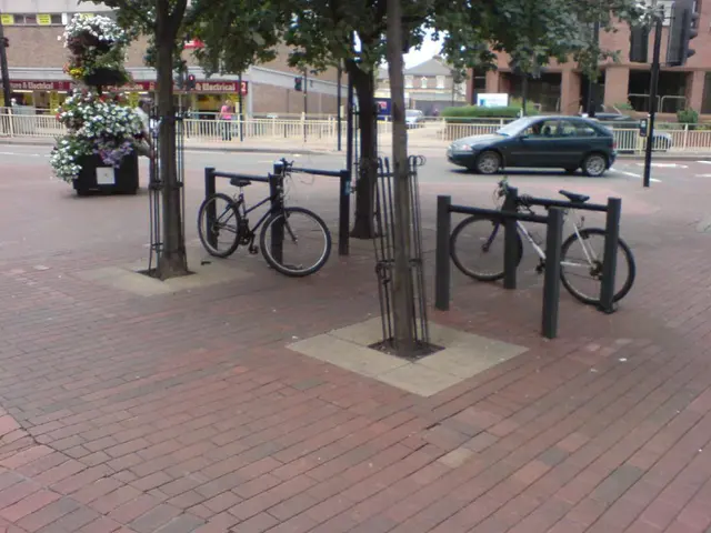 Freeganism's Environmental Footprint: Opting for a Sustainable Way of Life